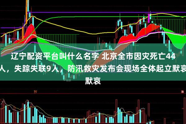 辽宁配资平台叫什么名字 北京全市因灾死亡44人，失踪失联9人，防汛救灾发布会现场全体起立默哀