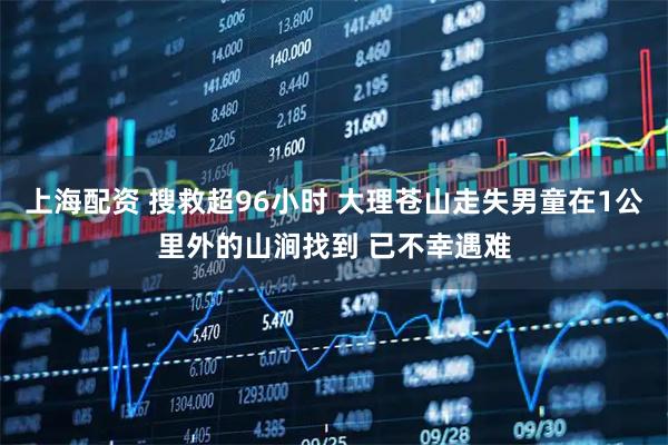 上海配资 搜救超96小时 大理苍山走失男童在1公里外的山涧找到 已不幸遇难