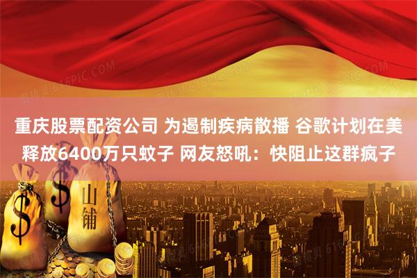 重庆股票配资公司 为遏制疾病散播 谷歌计划在美释放6400万只蚊子 网友怒吼：快阻止这群疯子